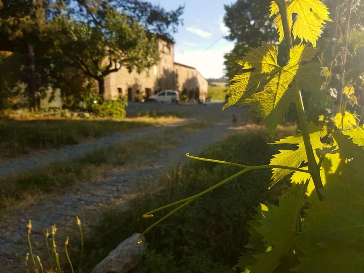 Agriturismo Podere Molino Peccioli المظهر الخارجي الصورة