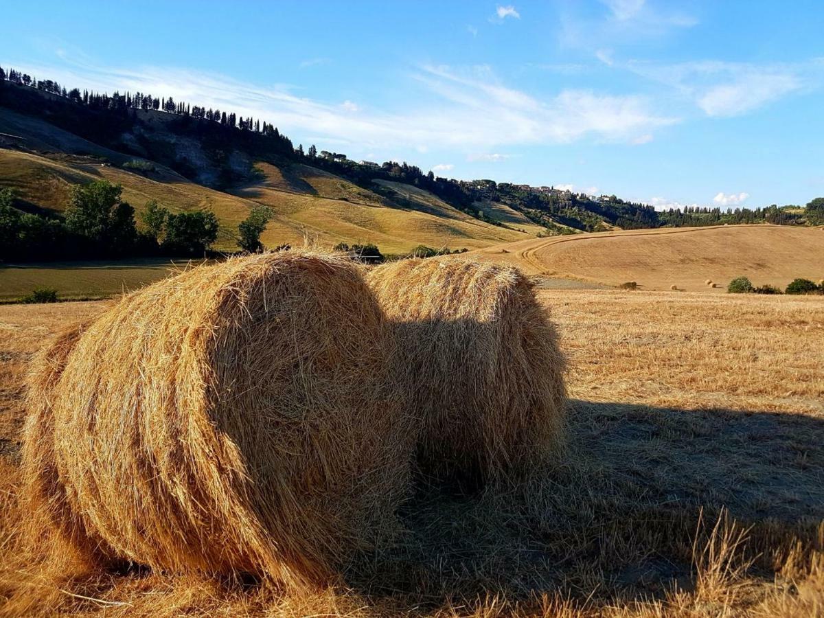 Agriturismo Podere Molino Peccioli المظهر الخارجي الصورة