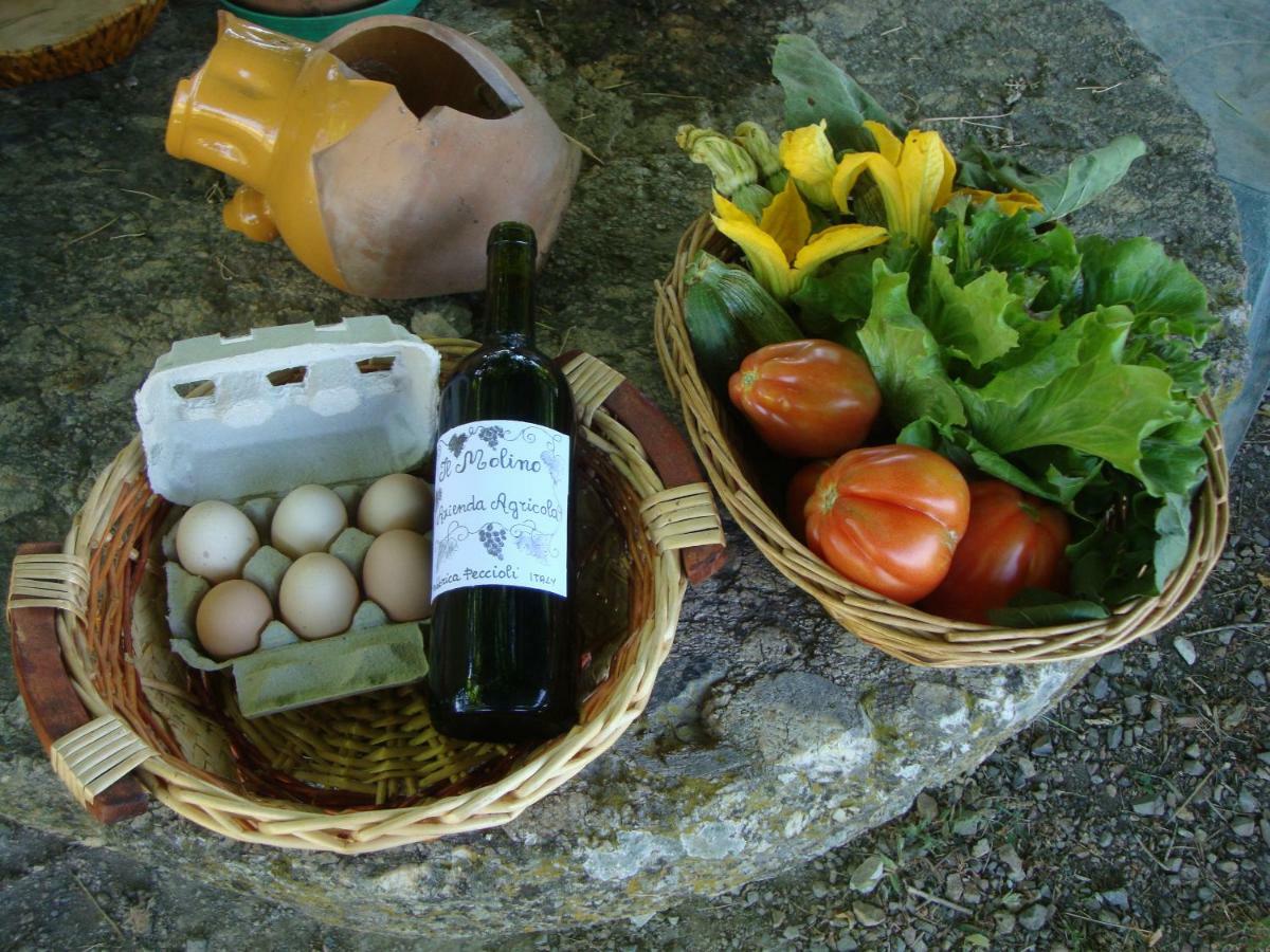 Agriturismo Podere Molino Peccioli المظهر الخارجي الصورة