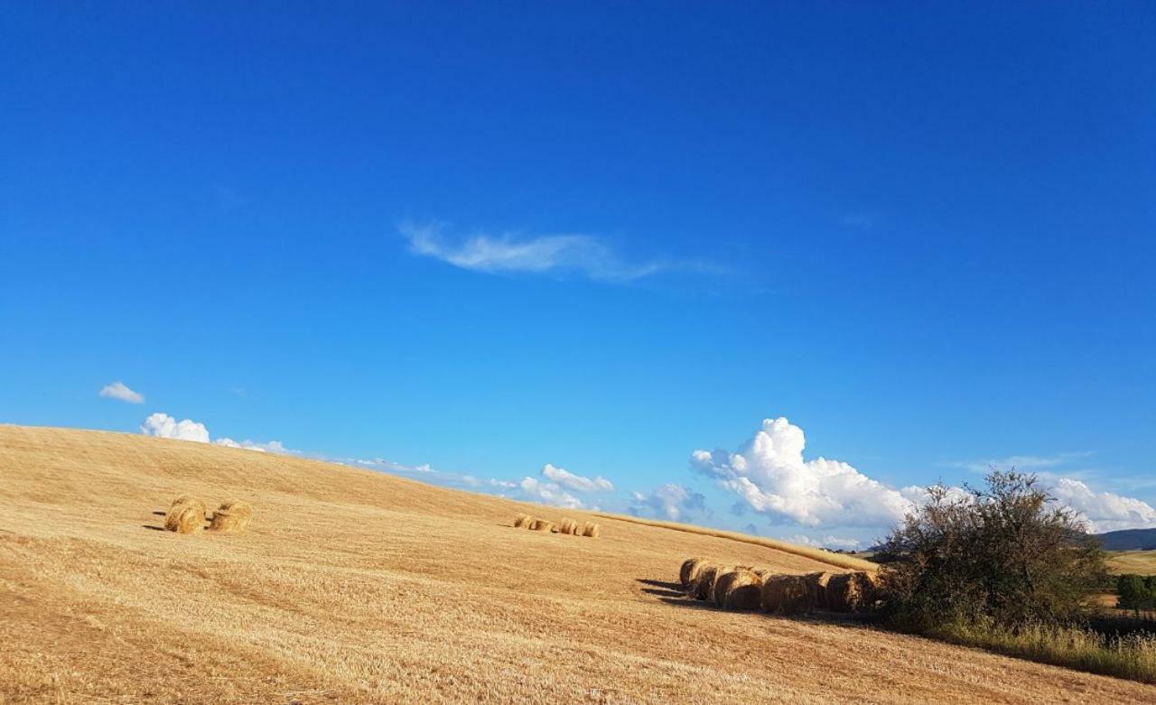 Agriturismo Podere Molino Peccioli المظهر الخارجي الصورة