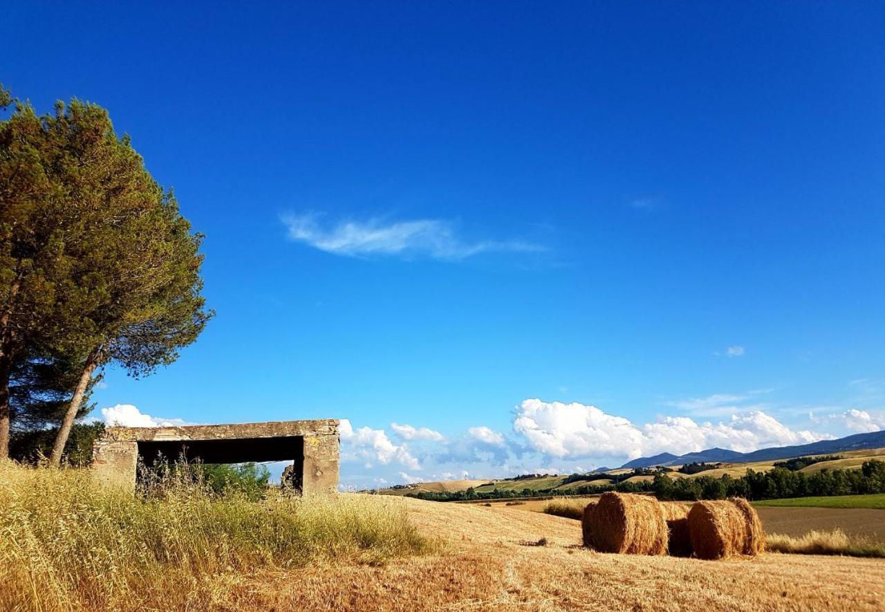 Agriturismo Podere Molino Peccioli المظهر الخارجي الصورة