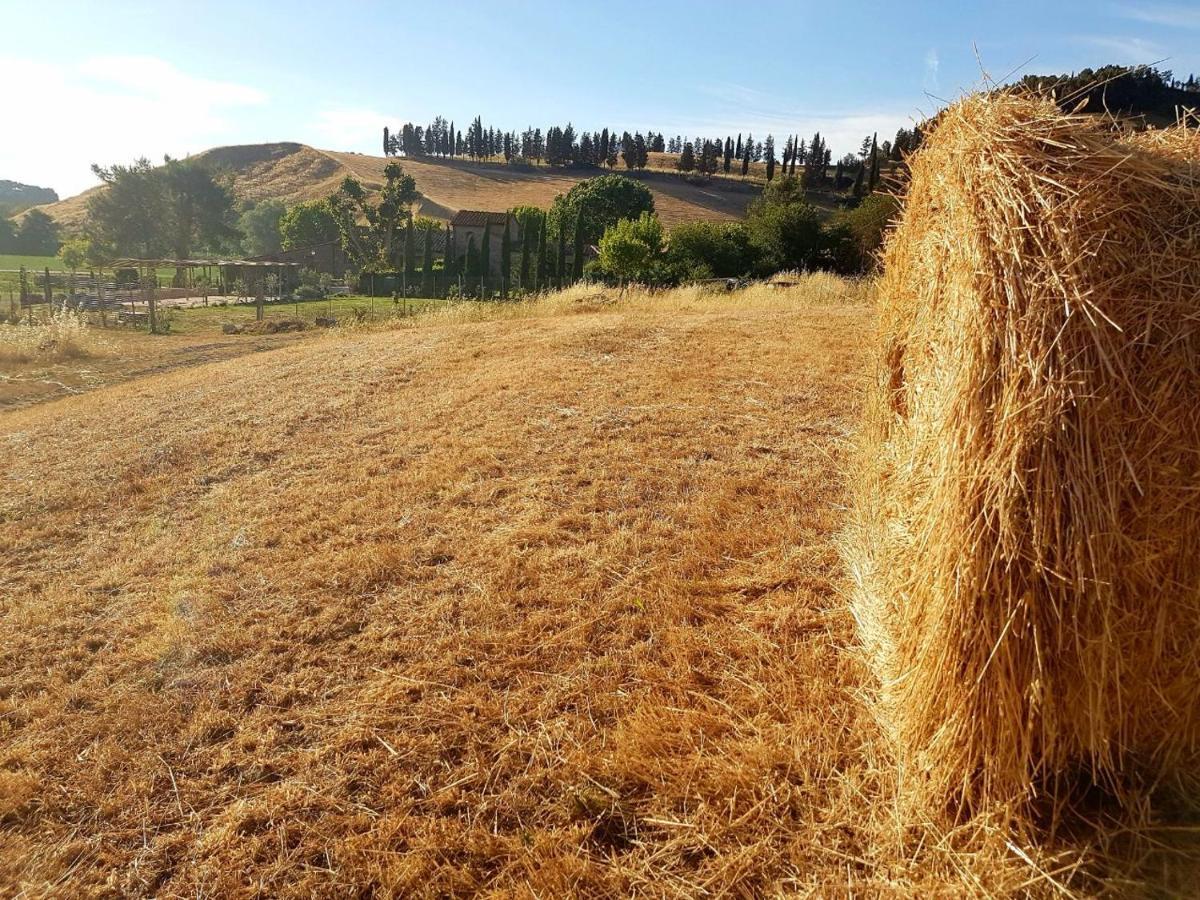 Agriturismo Podere Molino Peccioli المظهر الخارجي الصورة