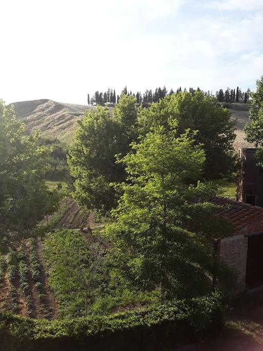 Agriturismo Podere Molino Peccioli المظهر الخارجي الصورة
